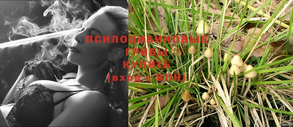 скорость Алексин