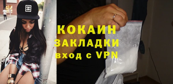 стафф Алзамай
