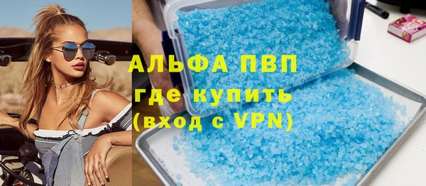 стафф Алзамай